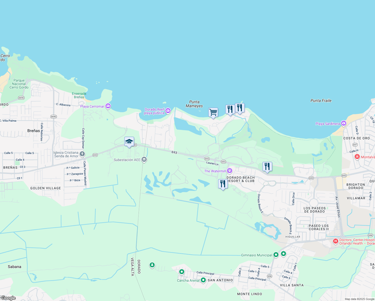 map of restaurants, bars, coffee shops, grocery stores, and more near Carretera Puerto Rico 693 in Dorado