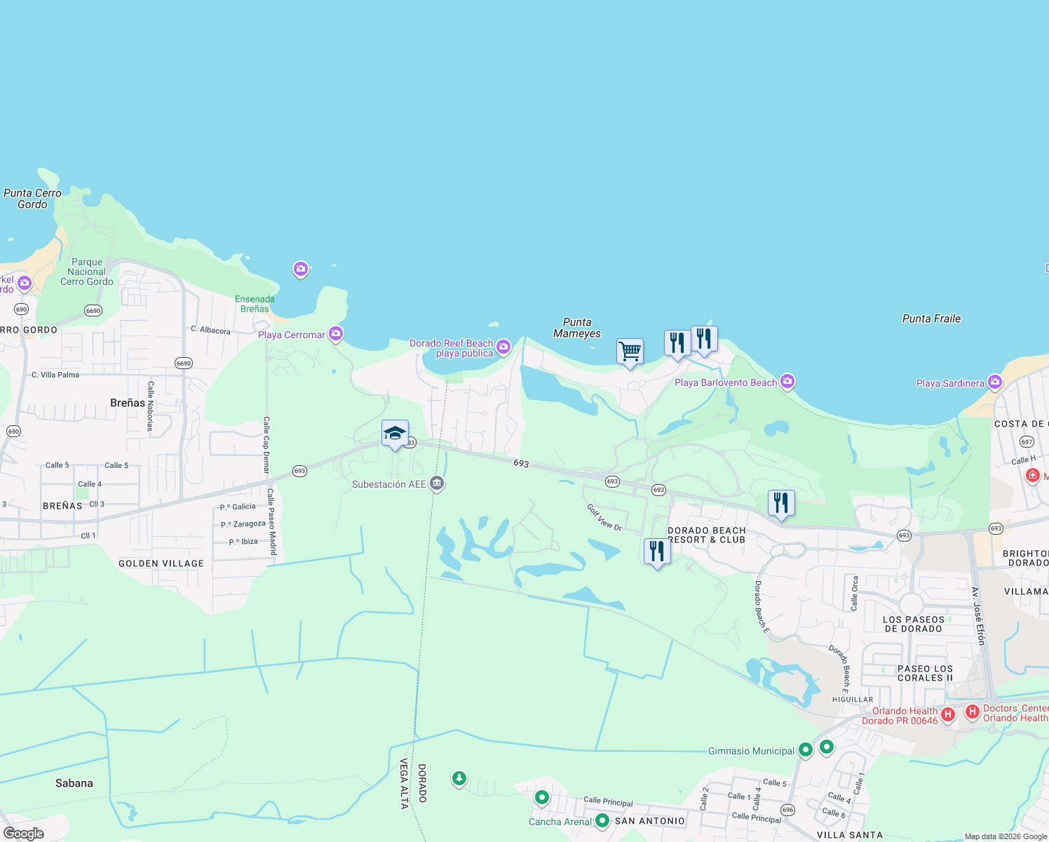 map of restaurants, bars, coffee shops, grocery stores, and more near Calle Arenas in Dorado