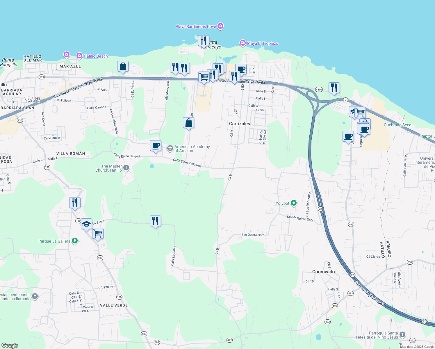 map of restaurants, bars, coffee shops, grocery stores, and more near in Carrizales