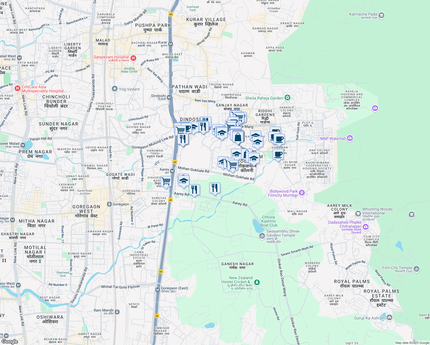 map of restaurants, bars, coffee shops, grocery stores, and more near Mohan Gokhale Road in Mumbai