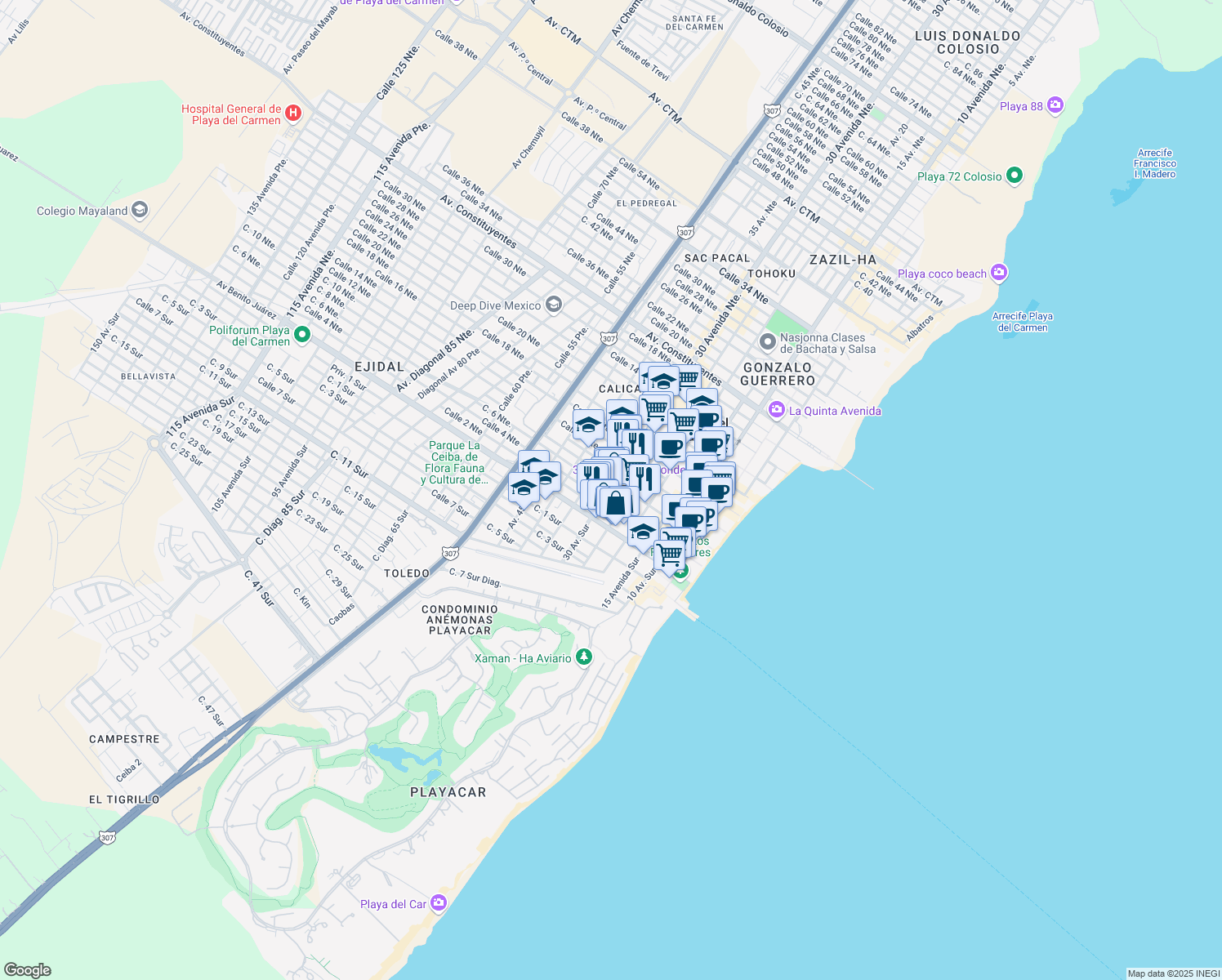 map of restaurants, bars, coffee shops, grocery stores, and more near in Playa del Carmen