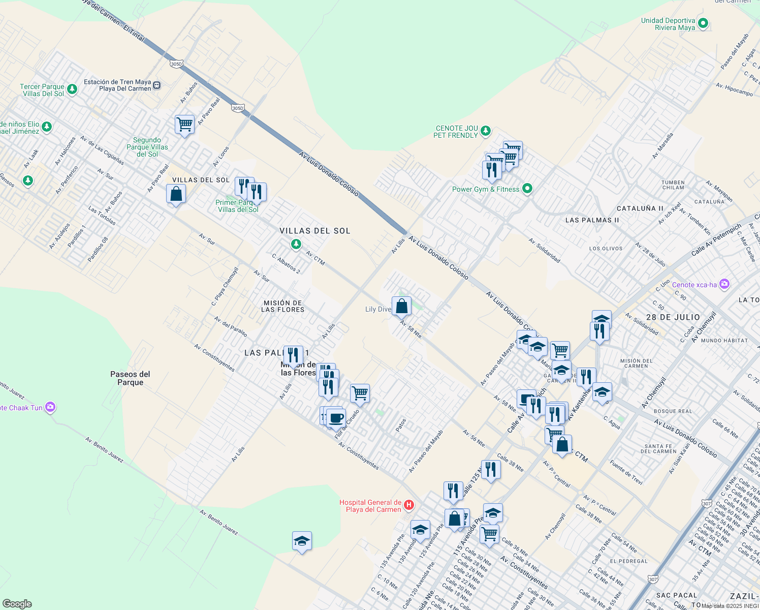 map of restaurants, bars, coffee shops, grocery stores, and more near Avenida CTM in Playa del Carmen