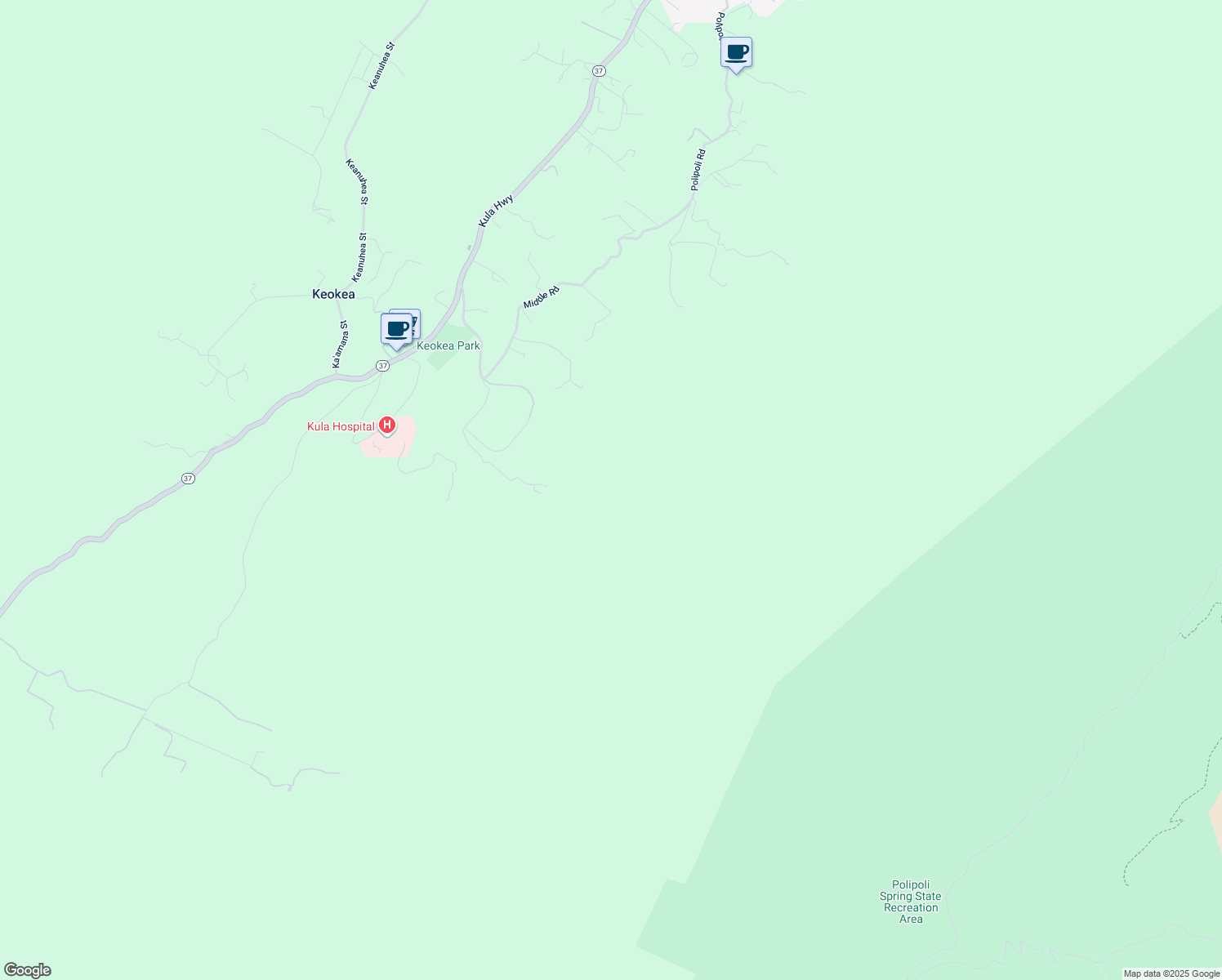 map of restaurants, bars, coffee shops, grocery stores, and more near 125 Laumania Road in Kula