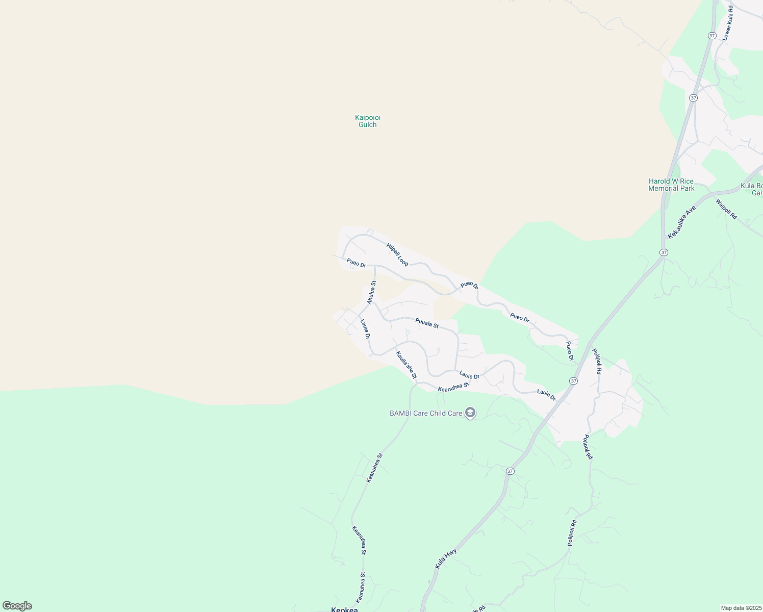 map of restaurants, bars, coffee shops, grocery stores, and more near 9 Kahilinaenae Place in Kula