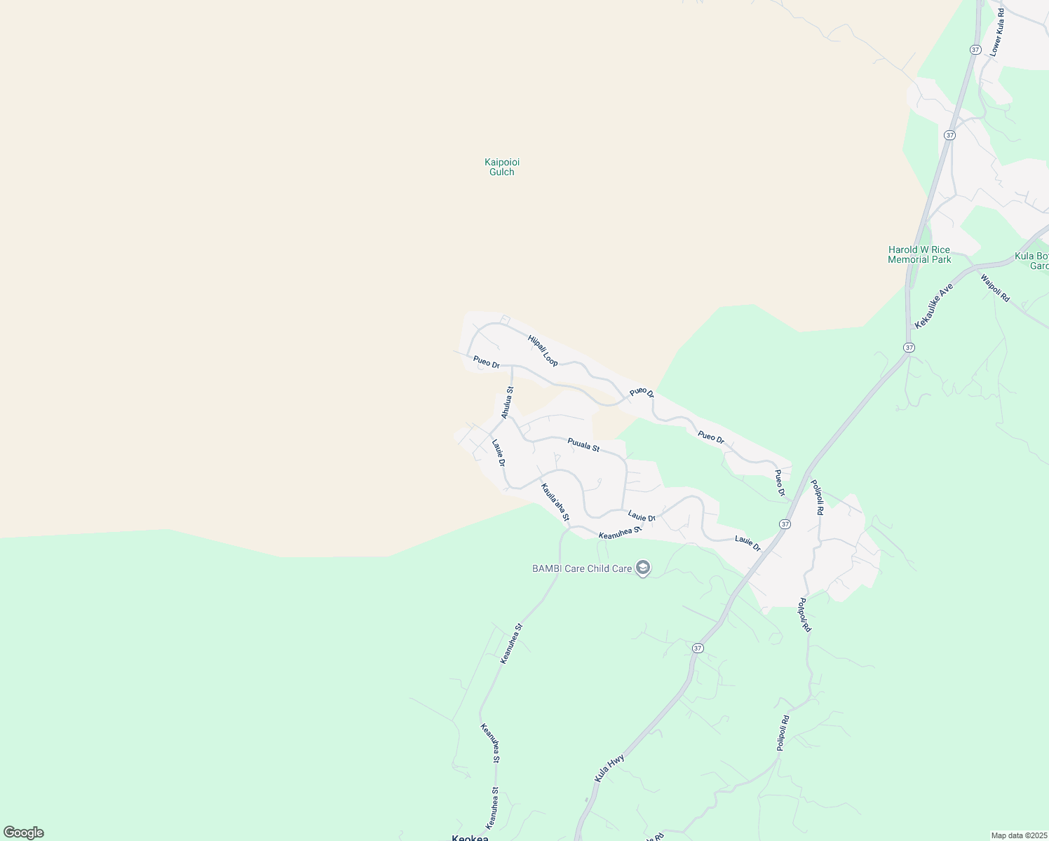 map of restaurants, bars, coffee shops, grocery stores, and more near 9 Kahilinaenae Place in Kula