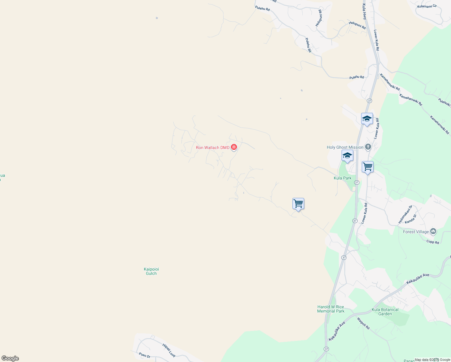 map of restaurants, bars, coffee shops, grocery stores, and more near 1401 Naalae Road in Kula