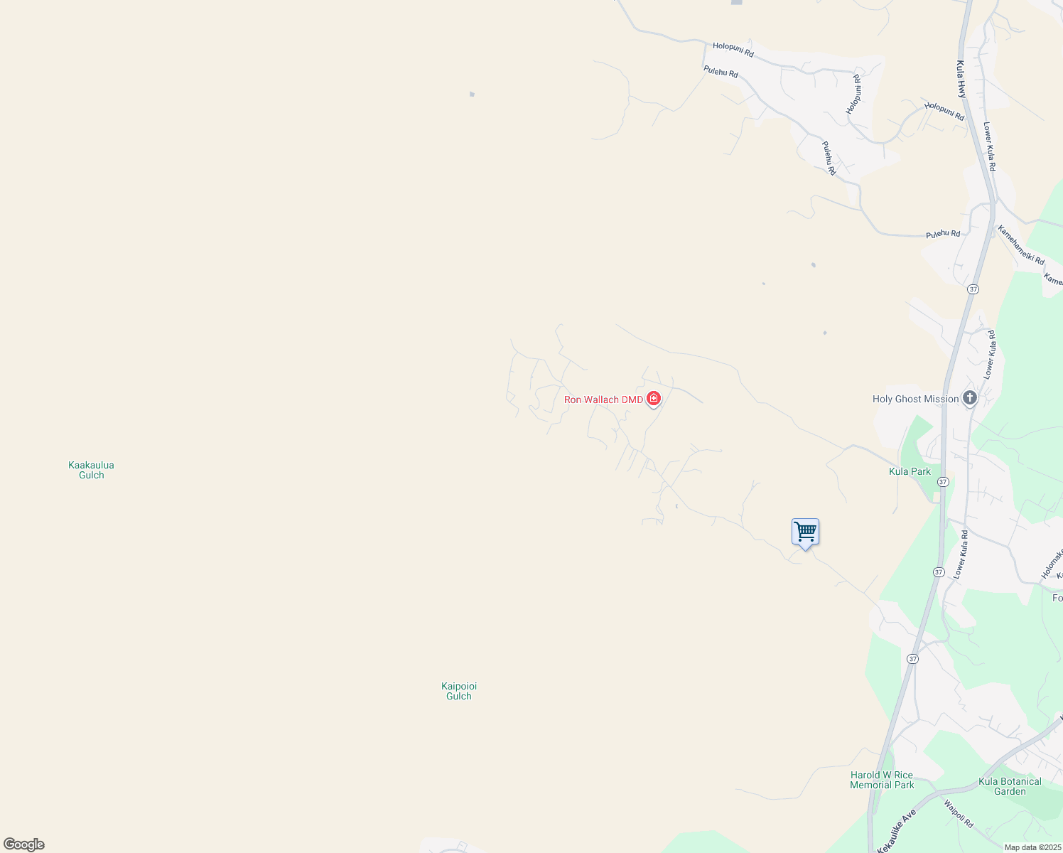 map of restaurants, bars, coffee shops, grocery stores, and more near 1651 Naalae Road in Kula