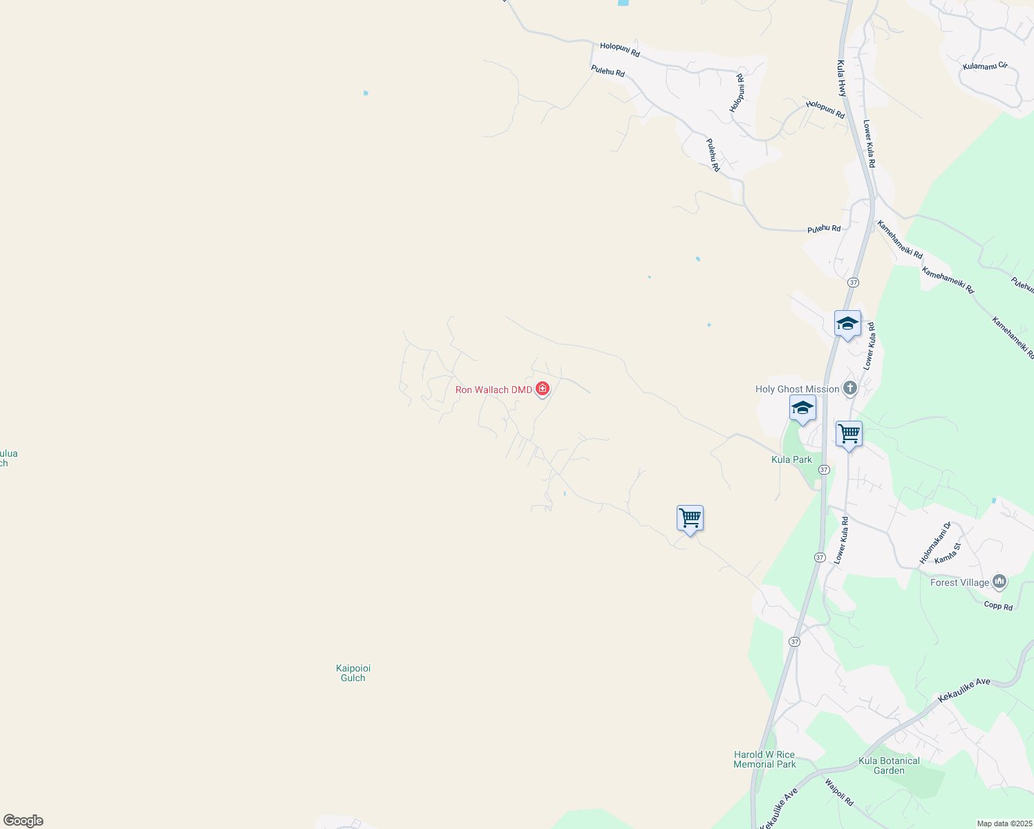 map of restaurants, bars, coffee shops, grocery stores, and more near 1584 Naalae Road in Kula