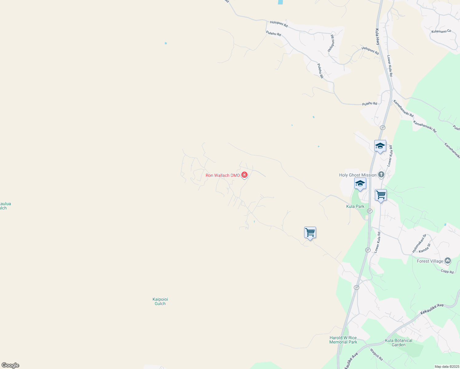 map of restaurants, bars, coffee shops, grocery stores, and more near 1938 Naalae Road in Kula