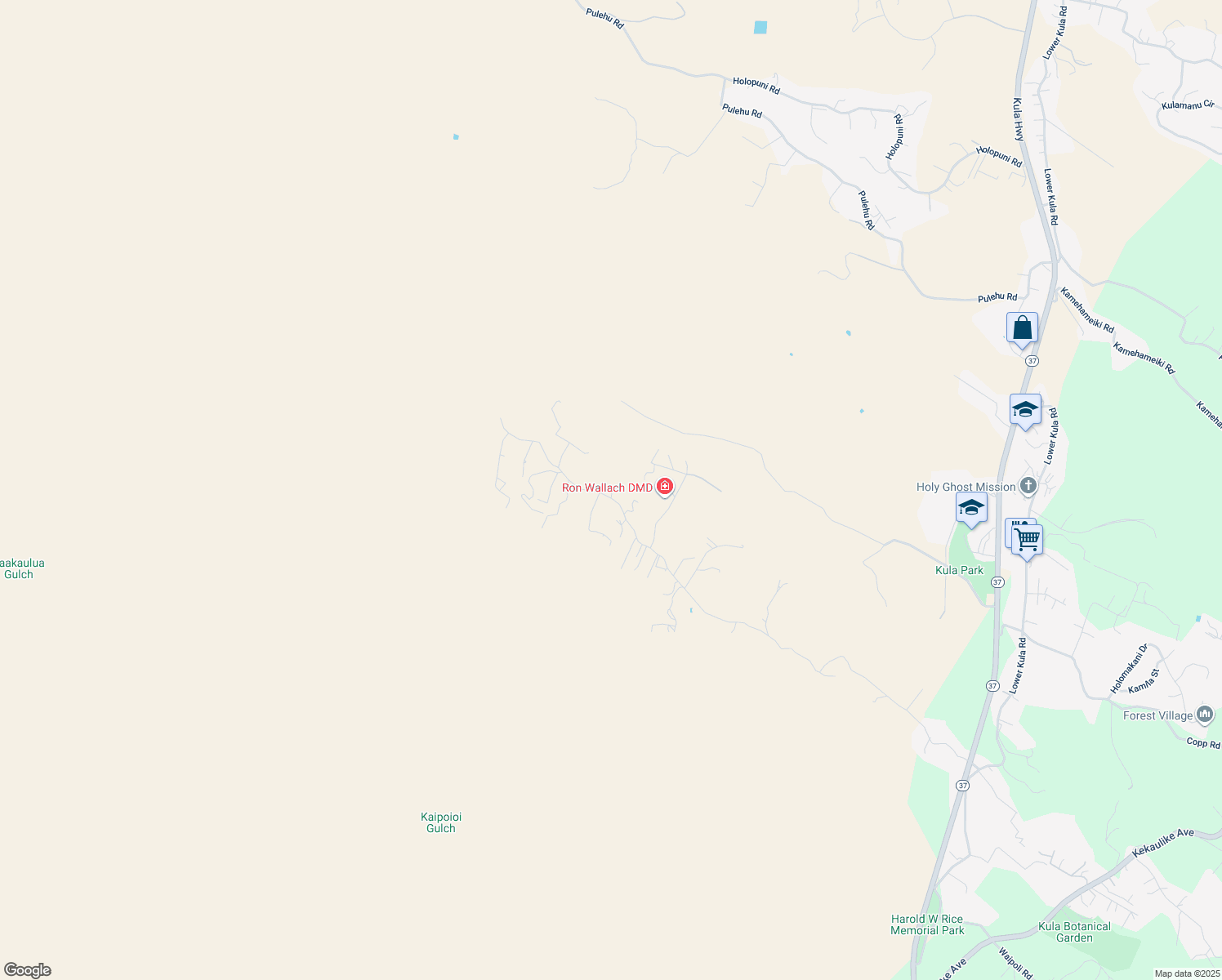 map of restaurants, bars, coffee shops, grocery stores, and more near 1678 Naalae Road in Kula