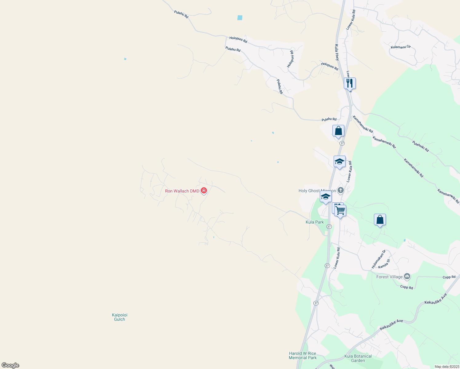 map of restaurants, bars, coffee shops, grocery stores, and more near 1007 Calasa Road in Kula