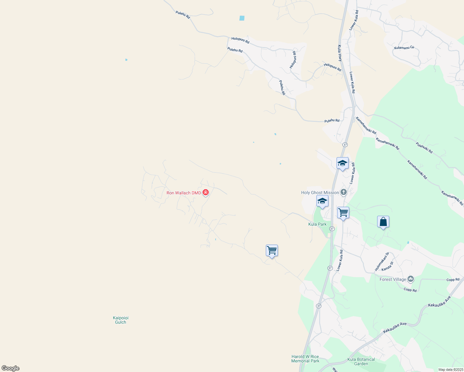 map of restaurants, bars, coffee shops, grocery stores, and more near 1007 Calasa Road in Kula