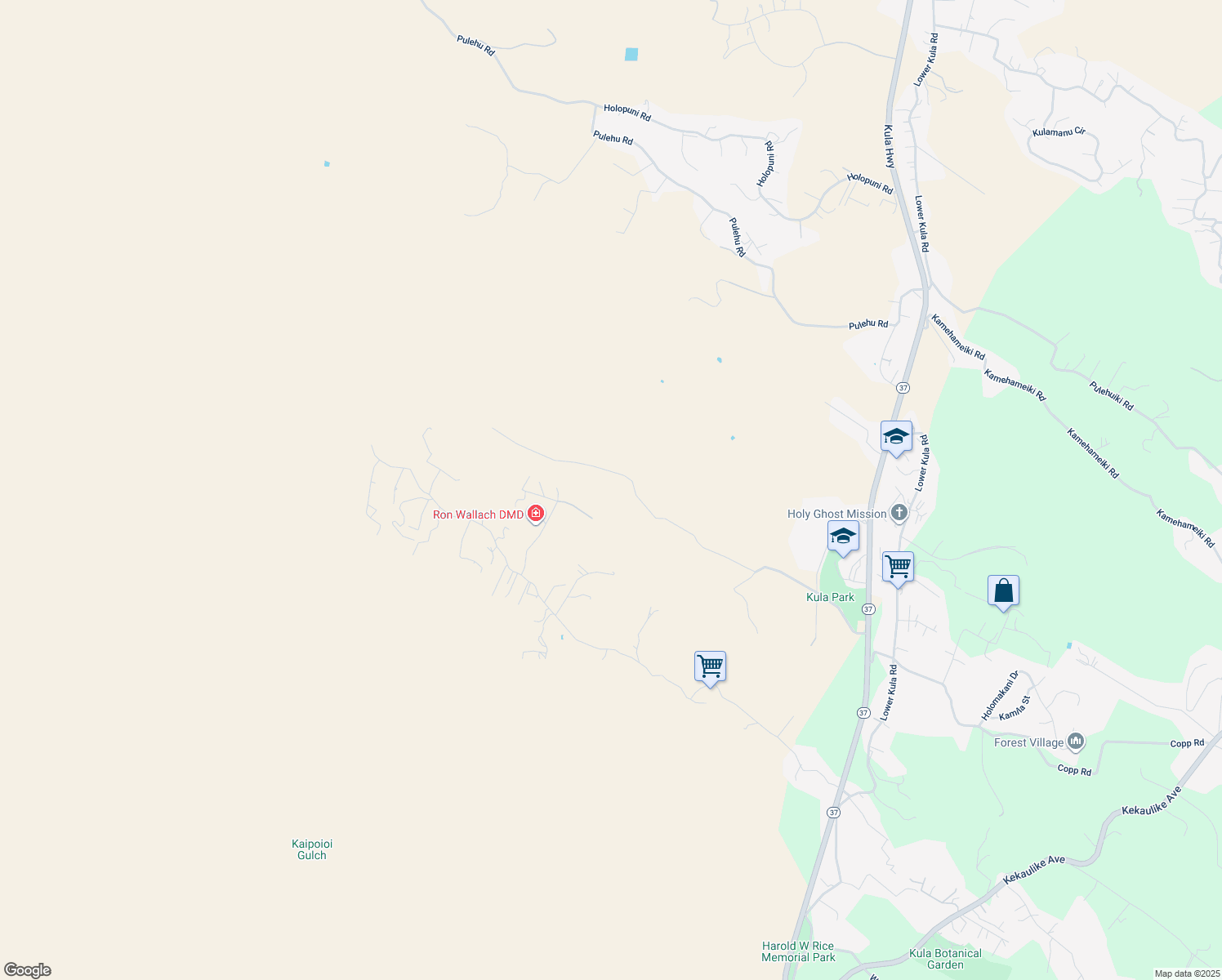 map of restaurants, bars, coffee shops, grocery stores, and more near 41 Calasa Road in Kula