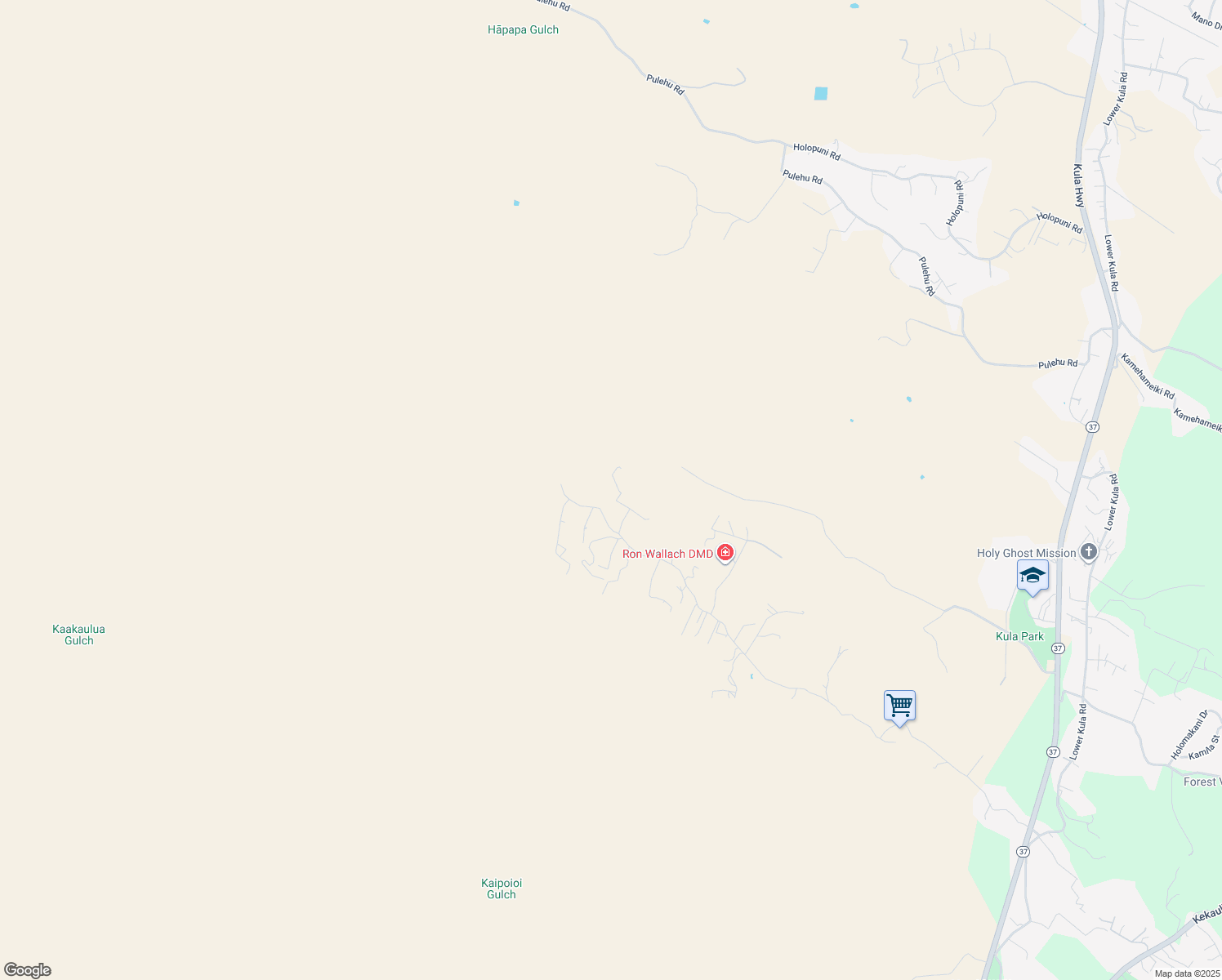 map of restaurants, bars, coffee shops, grocery stores, and more near 1938 Naalae Road in Kula