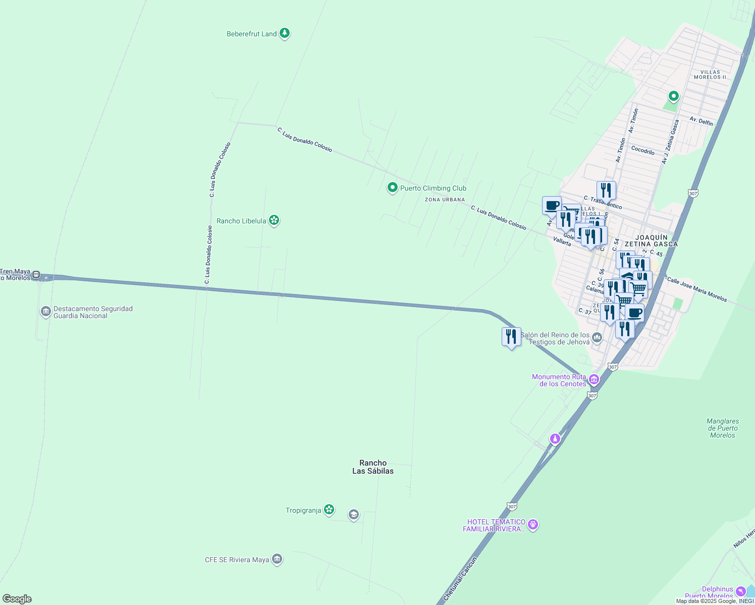 map of restaurants, bars, coffee shops, grocery stores, and more near in 