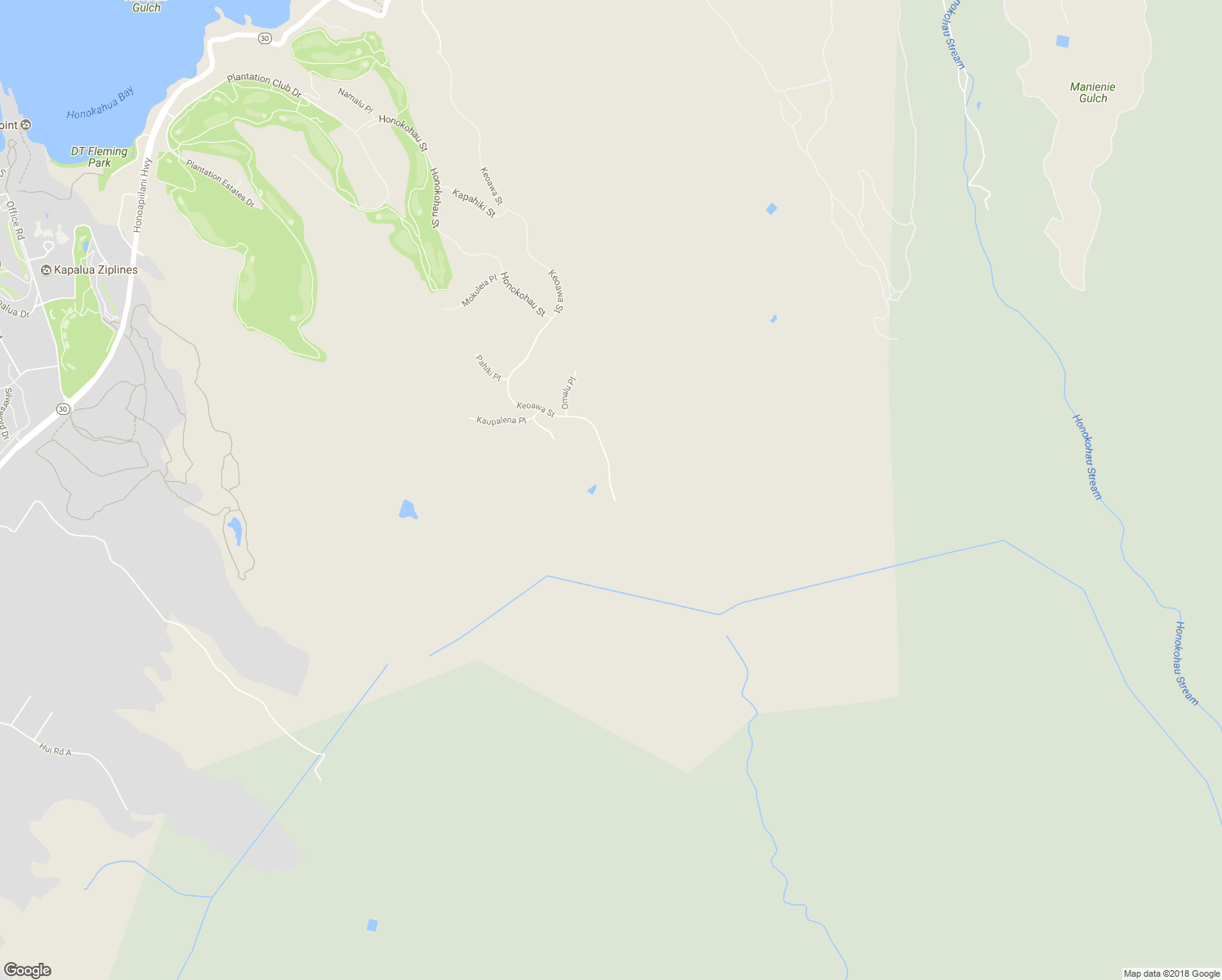 map of restaurants, bars, coffee shops, grocery stores, and more near 246 Keoawa Street in Lahaina