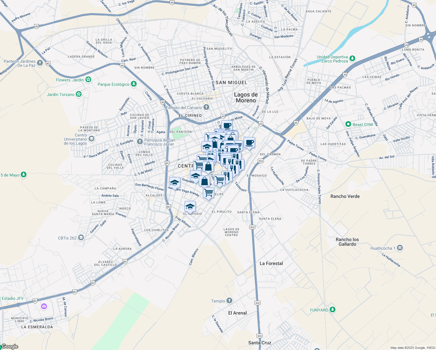 map of restaurants, bars, coffee shops, grocery stores, and more near Calle Privada Lopez Rayon in Lagos de Moreno