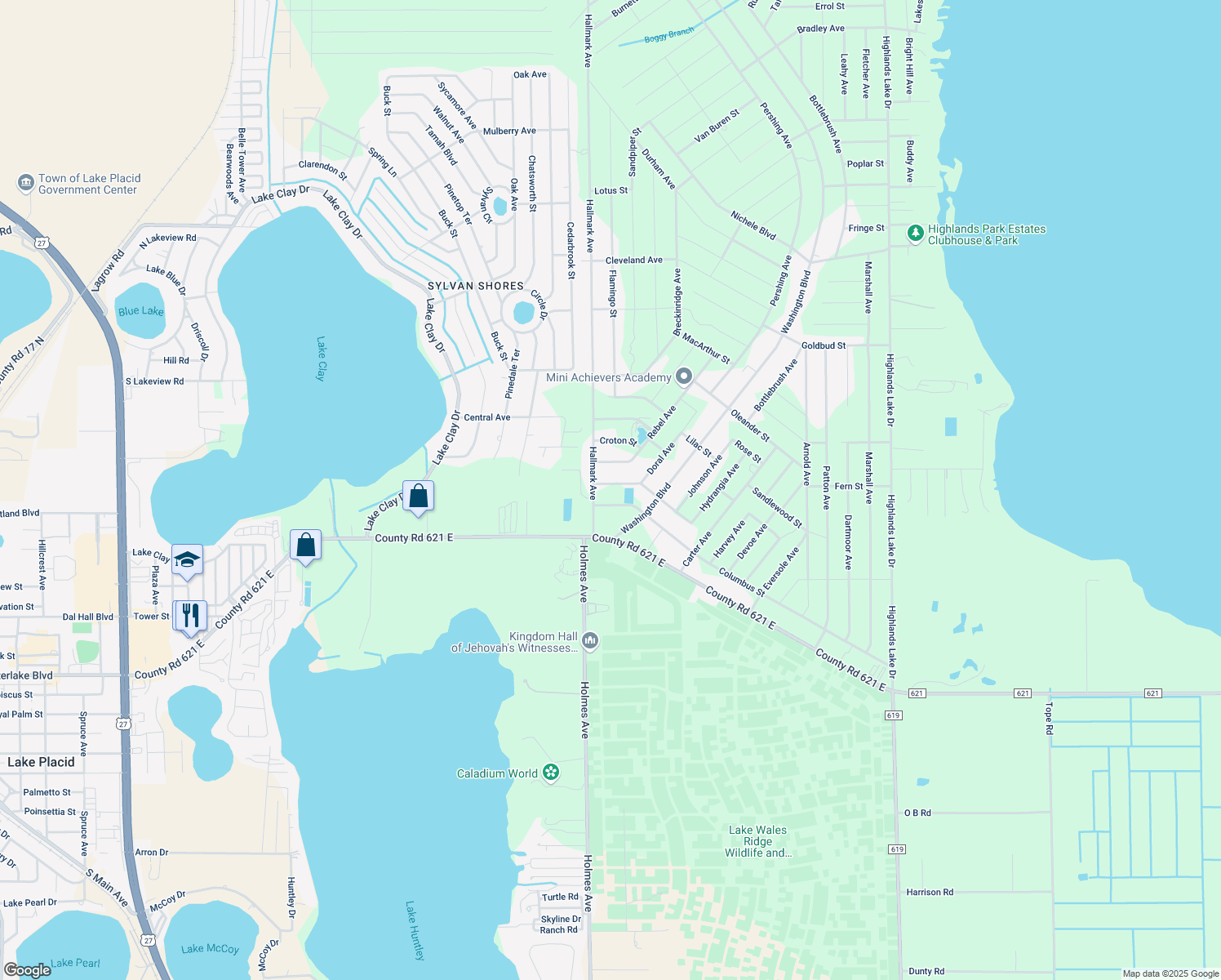 map of restaurants, bars, coffee shops, grocery stores, and more near 1007 Orchid Street in Lake Placid