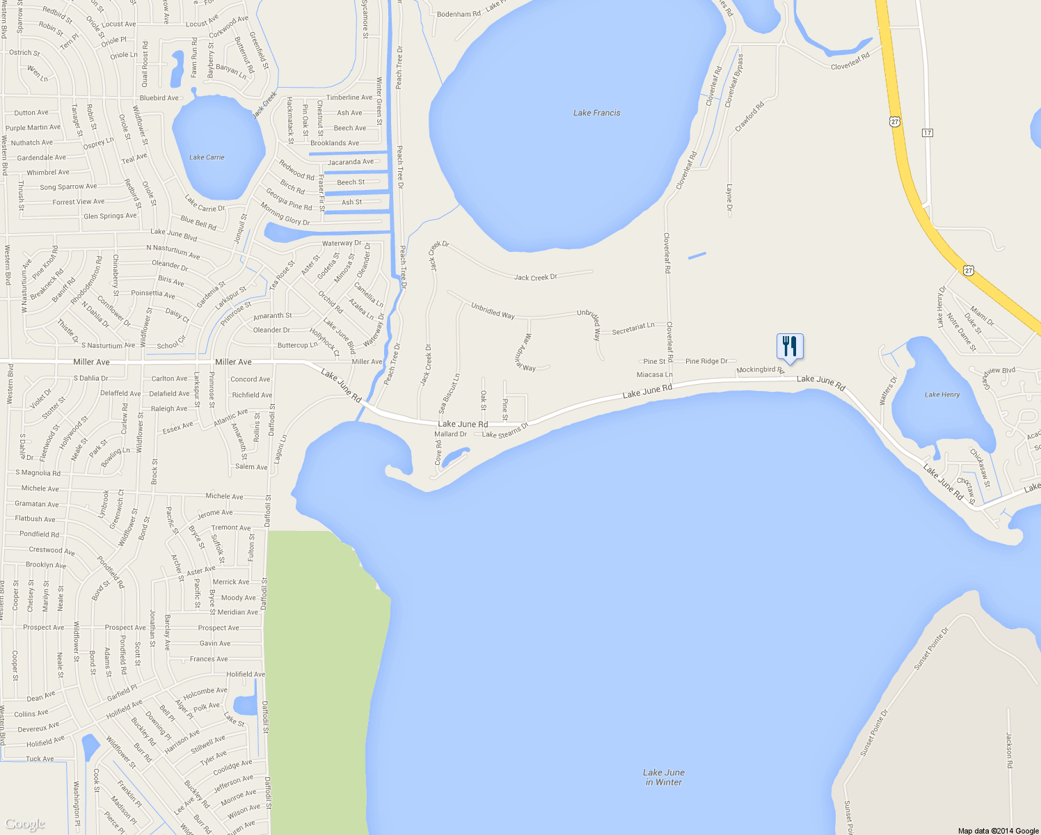 map of restaurants, bars, coffee shops, grocery stores, and more near 917 Lake June Road in Lake Placid