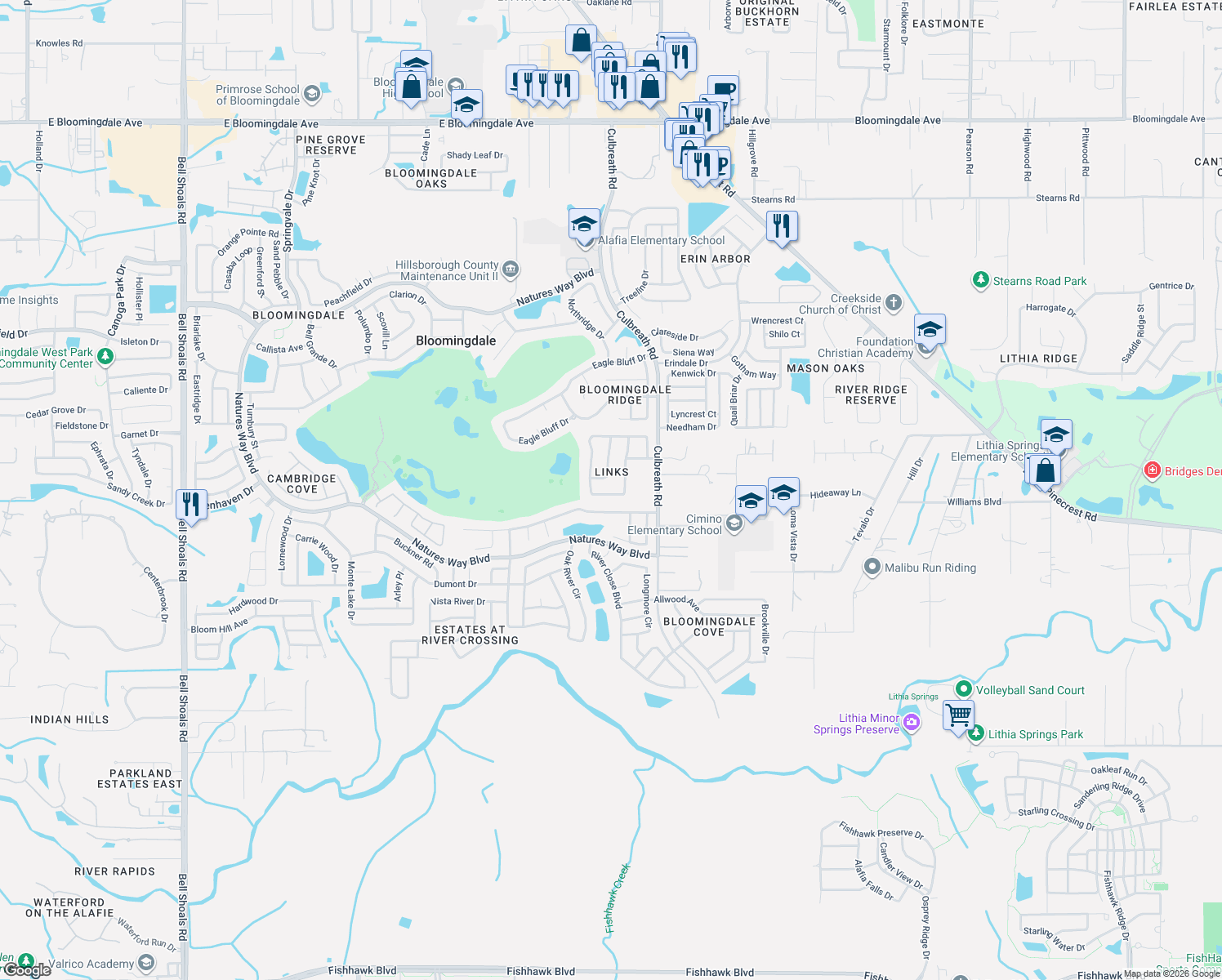 map of restaurants, bars, coffee shops, grocery stores, and more near 4332 Swift Circle in Valrico