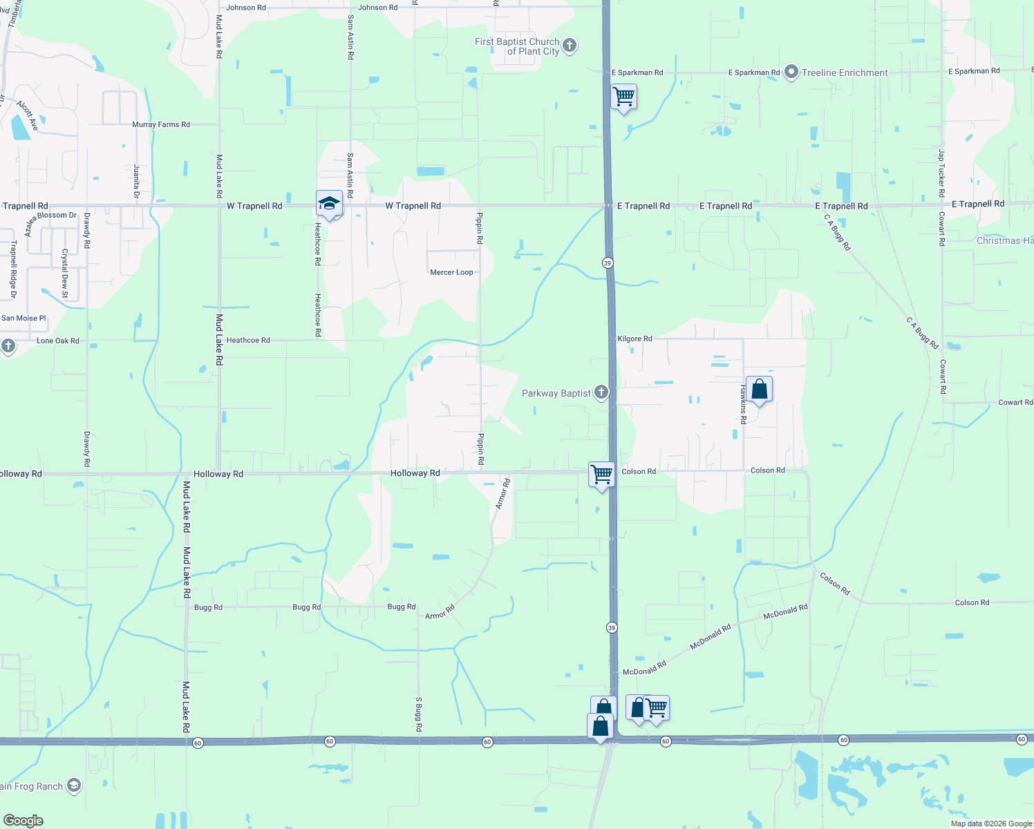 map of restaurants, bars, coffee shops, grocery stores, and more near 4416 Pippin Road in Plant City