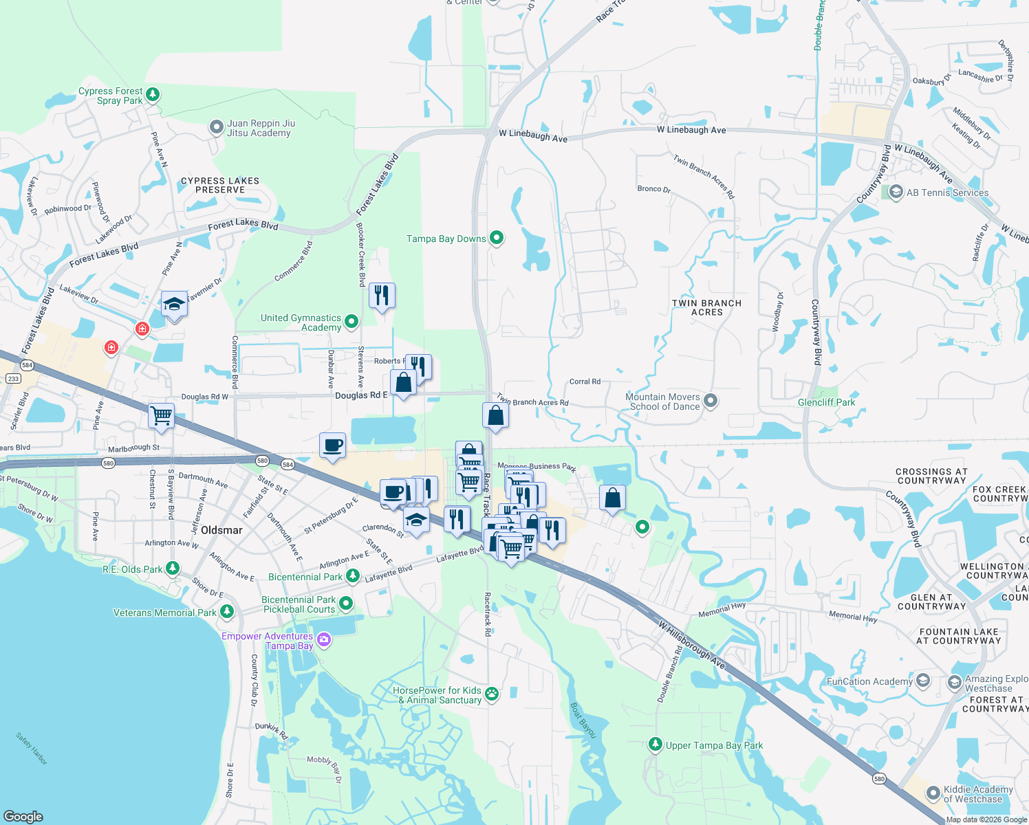 map of restaurants, bars, coffee shops, grocery stores, and more near 12810 Twin Branch Acres Road in Tampa