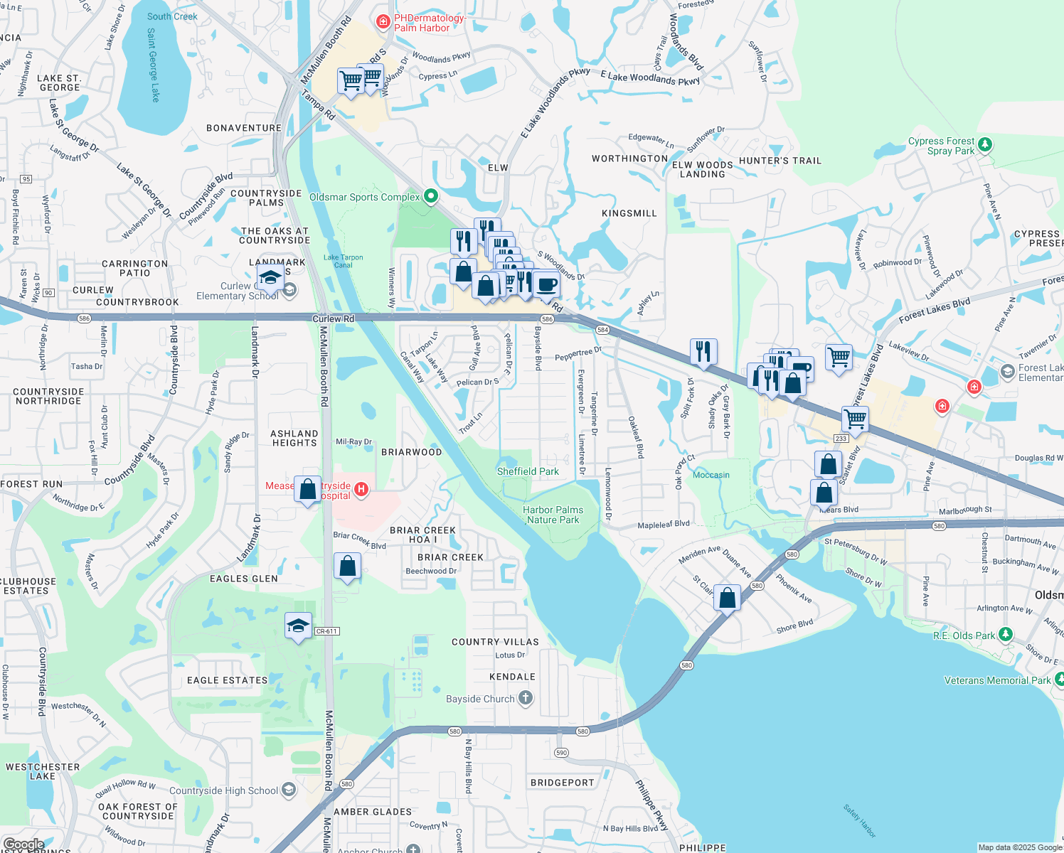 2005 Dover Court, Oldsmar FL Walk Score