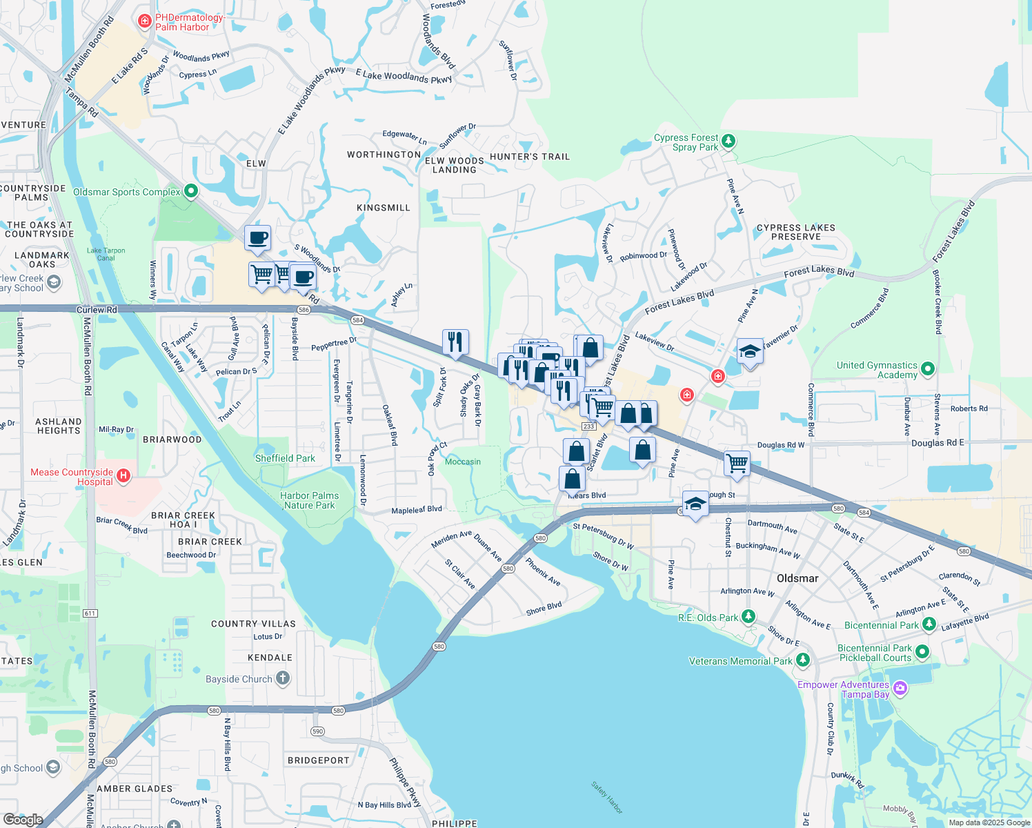 3 Emerald Bay Drive, Oldsmar FL Walk Score