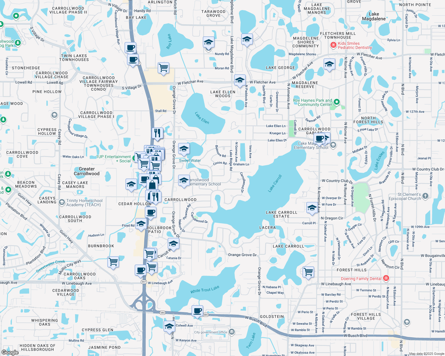 11511 Areca Road Carrollwood FL - Lng= 82.4935787