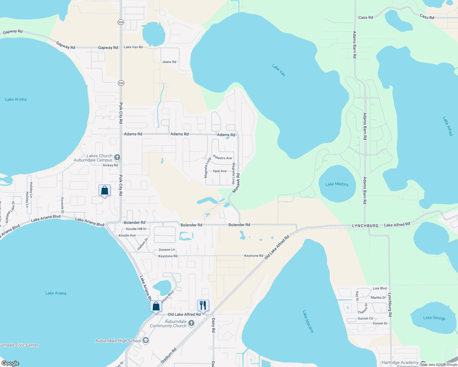 map of restaurants, bars, coffee shops, grocery stores, and more near 293 Magneta Loop in Auburndale
