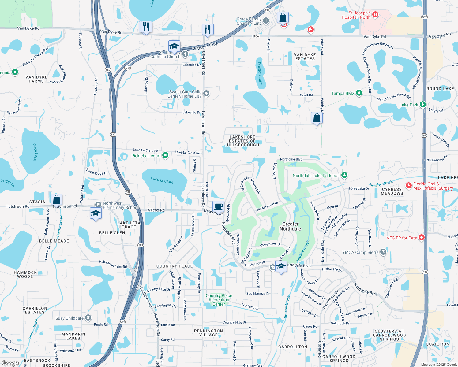map of restaurants, bars, coffee shops, grocery stores, and more near 4902 Dewey Rose Court in Tampa