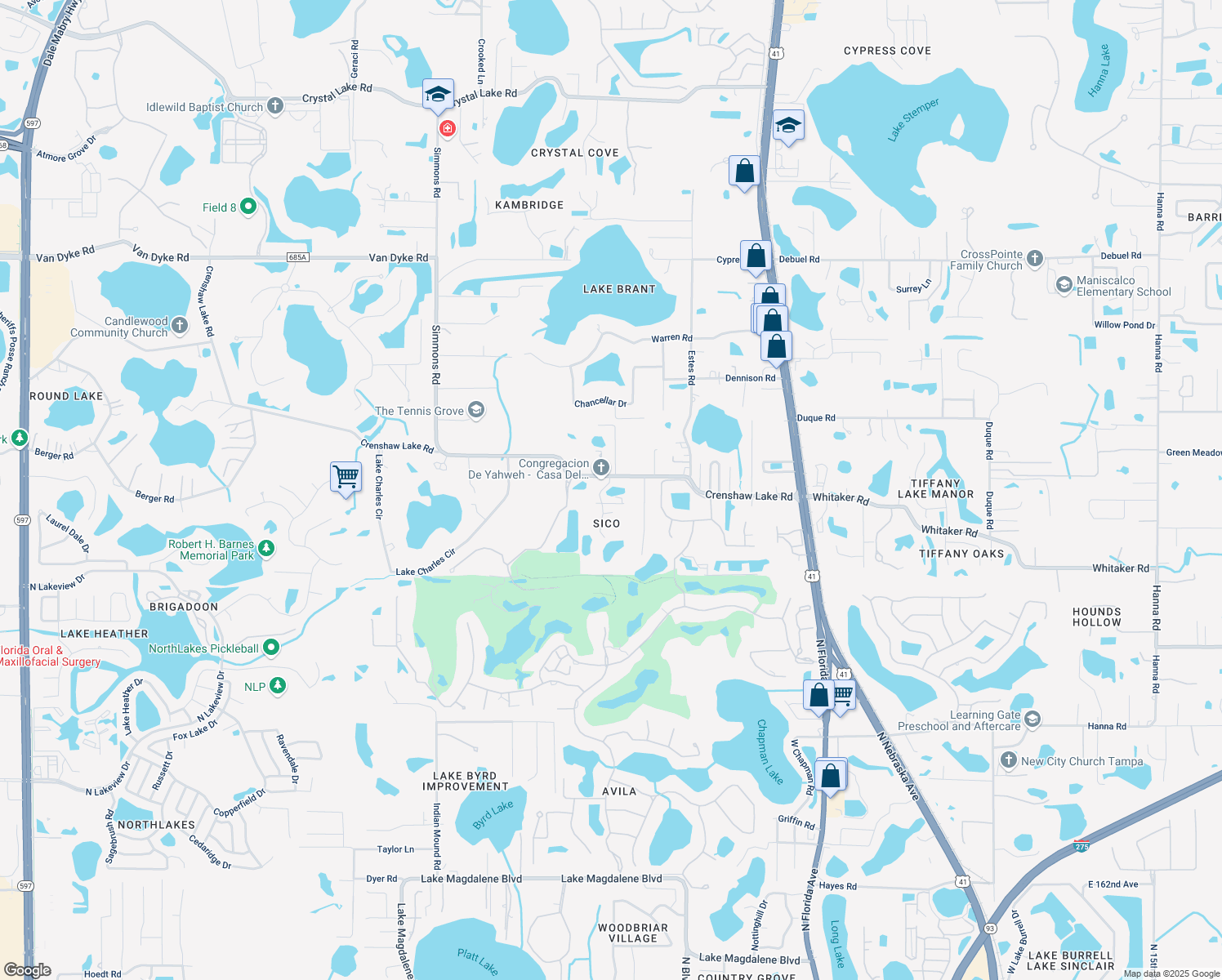 map of restaurants, bars, coffee shops, grocery stores, and more near 620 Crenshaw Lake Road in Lutz