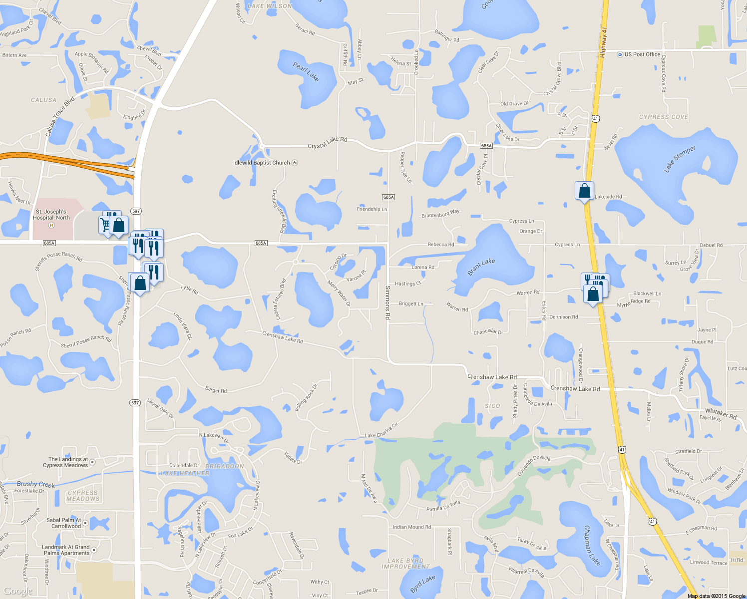 map of restaurants, bars, coffee shops, grocery stores, and more near 1015 Stella Vara Dr in Lutz