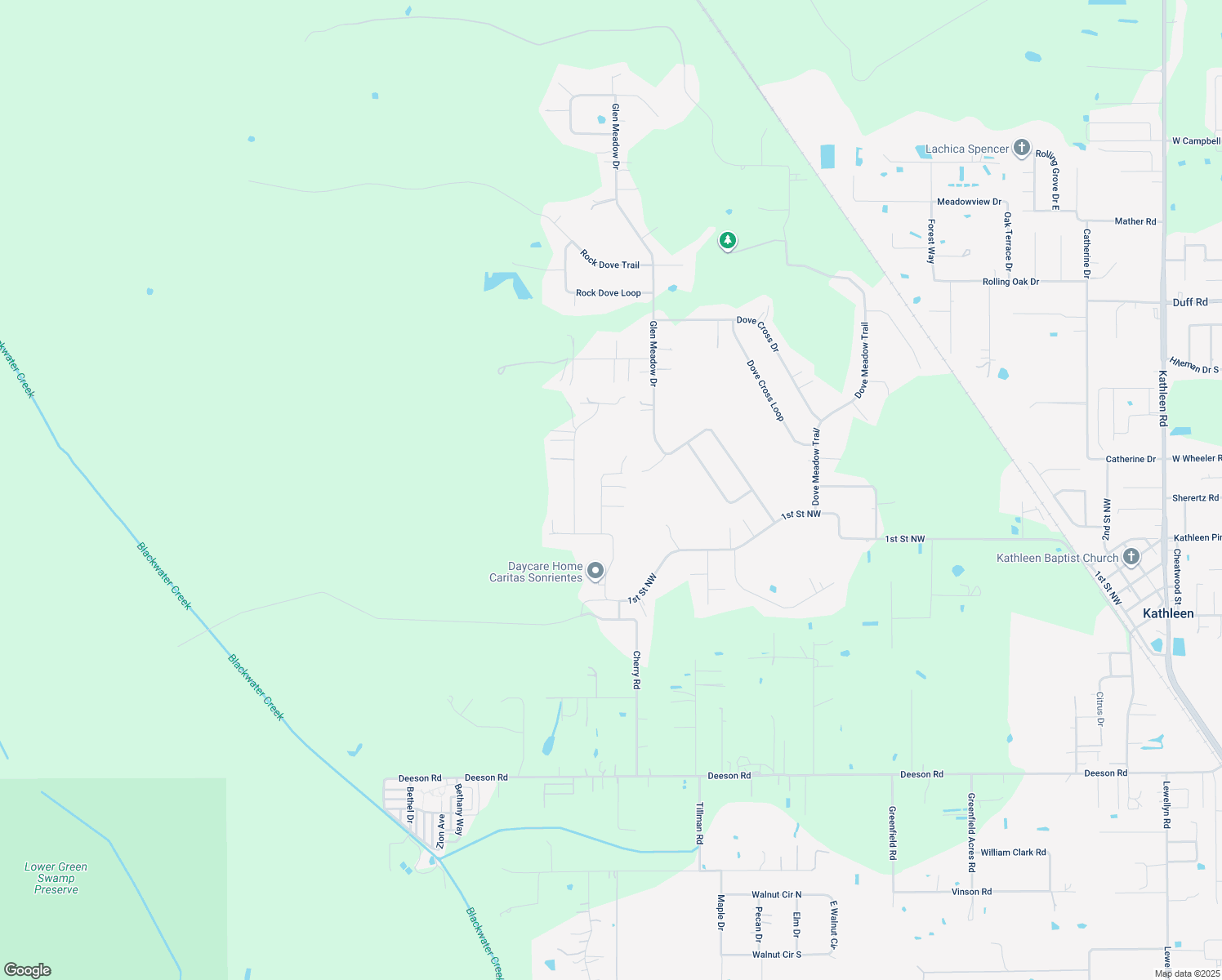 map of restaurants, bars, coffee shops, grocery stores, and more near 6519 Fernwood Drive in Lakeland