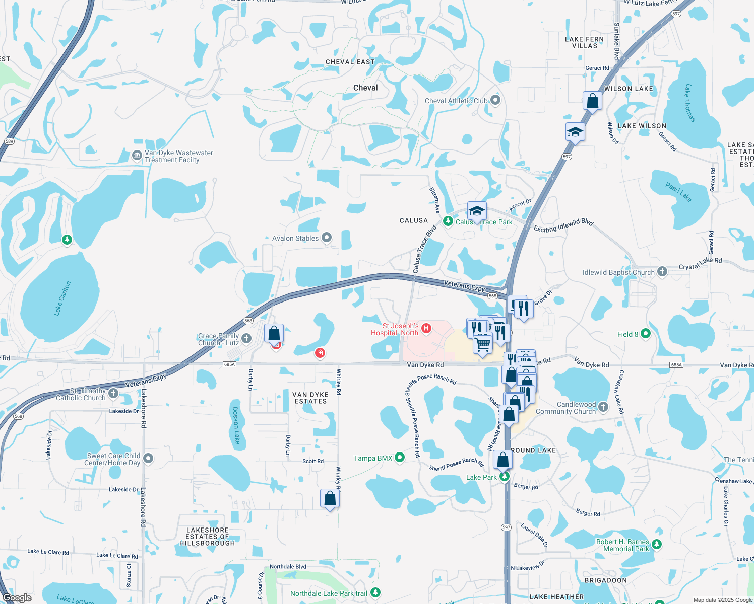 map of restaurants, bars, coffee shops, grocery stores, and more near 18002 Sparrows Nest Drive in Lutz