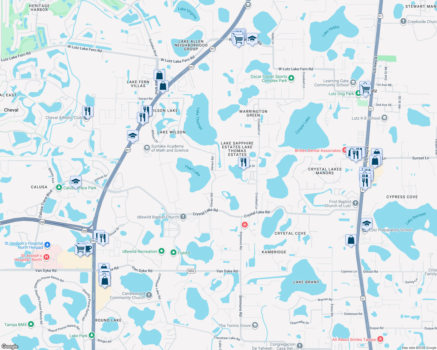 map of restaurants, bars, coffee shops, grocery stores, and more near 1413 May Street in Lutz