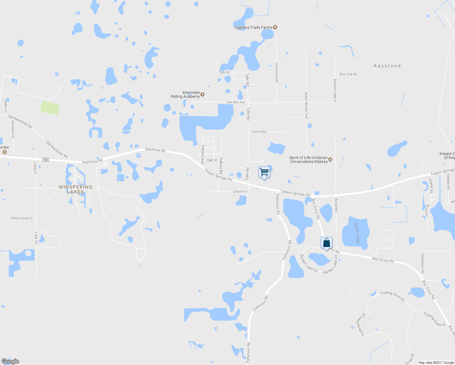 map of restaurants, bars, coffee shops, grocery stores, and more near 13024 Tarpon Springs Road in Odessa