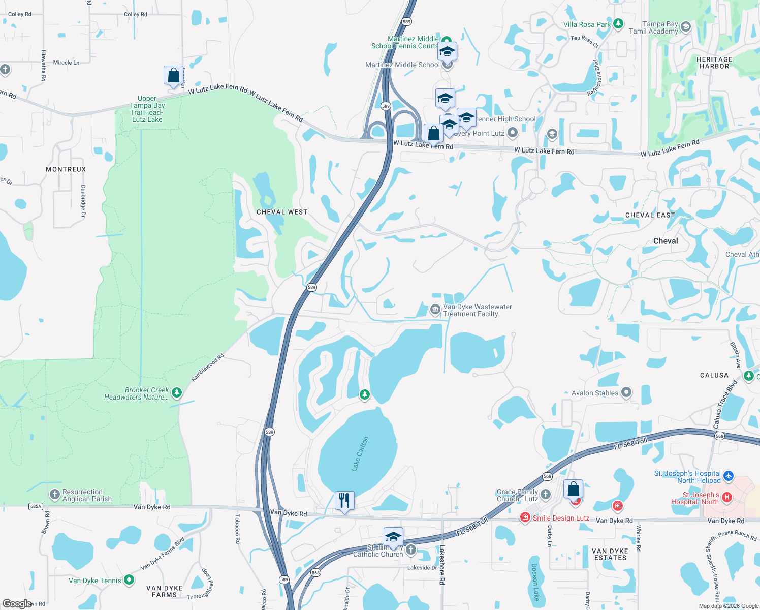 map of restaurants, bars, coffee shops, grocery stores, and more near 18733 Chopin Dr in Lutz