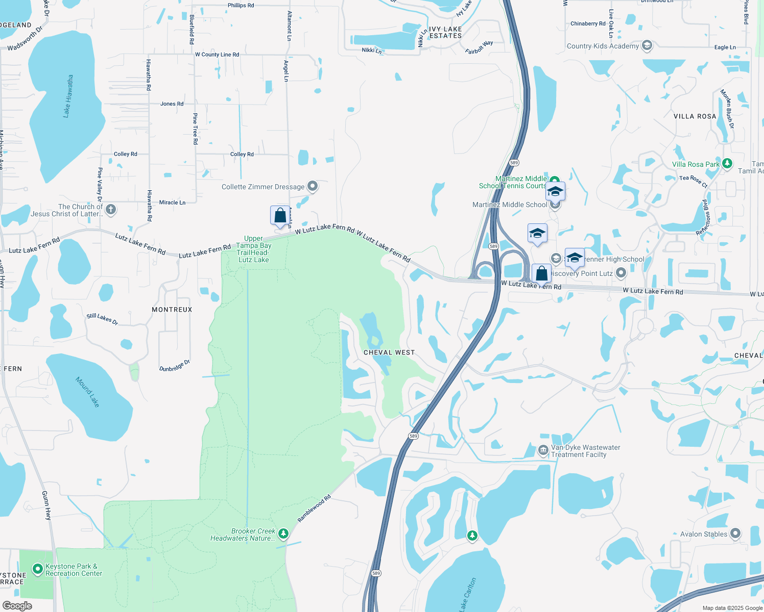 map of restaurants, bars, coffee shops, grocery stores, and more near 19016 Saint Laurent Drive in Lutz