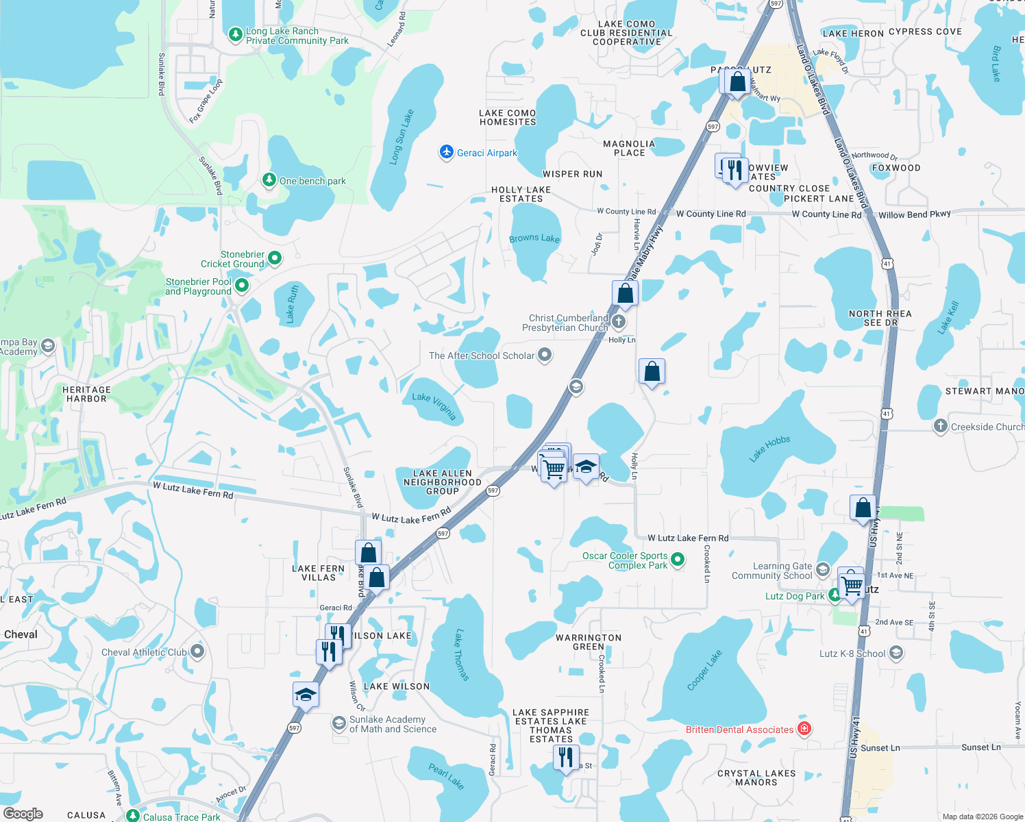 map of restaurants, bars, coffee shops, grocery stores, and more near 19219 Blount Rd in Lutz