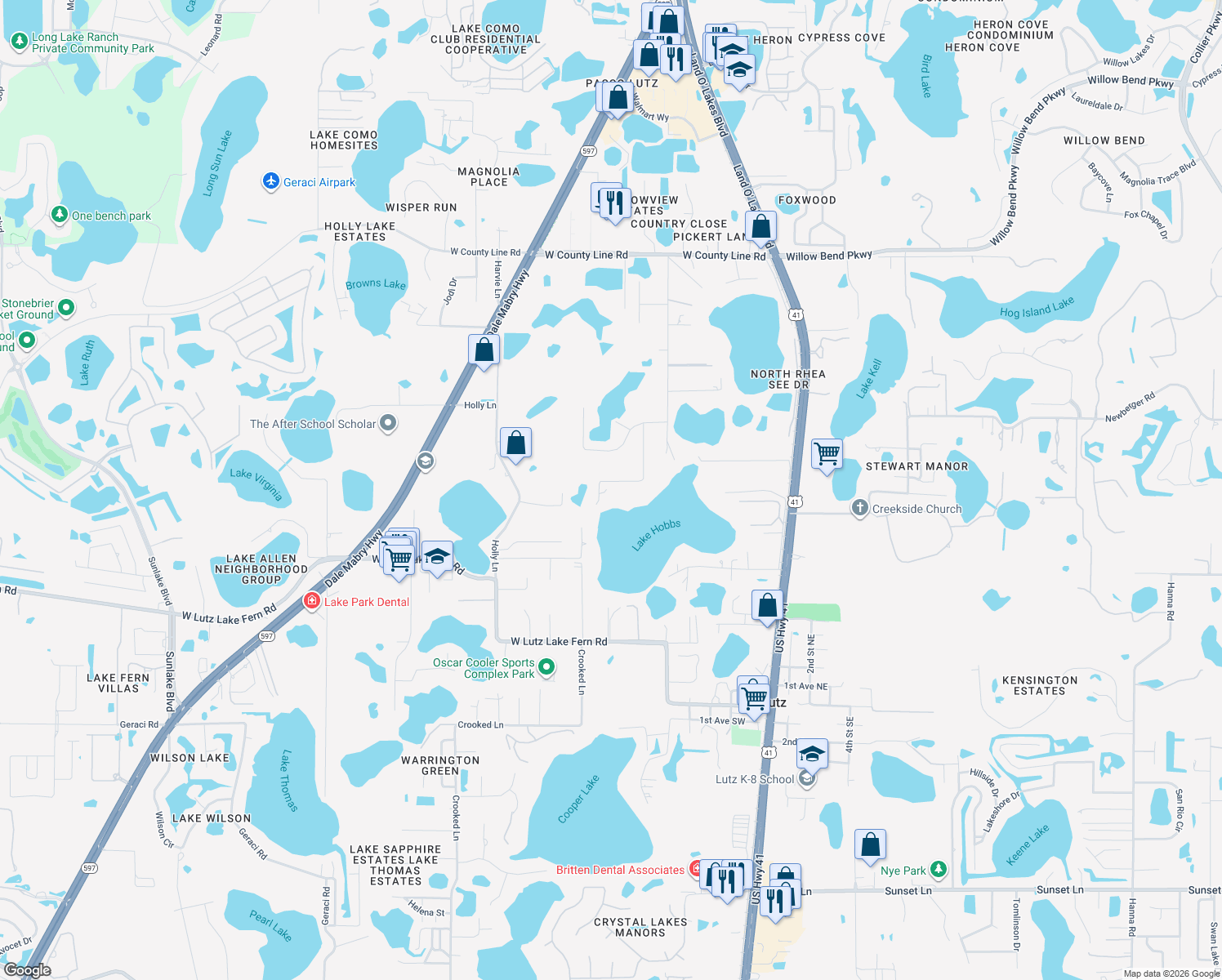 map of restaurants, bars, coffee shops, grocery stores, and more near 19509 Deer Lake Road in Lutz