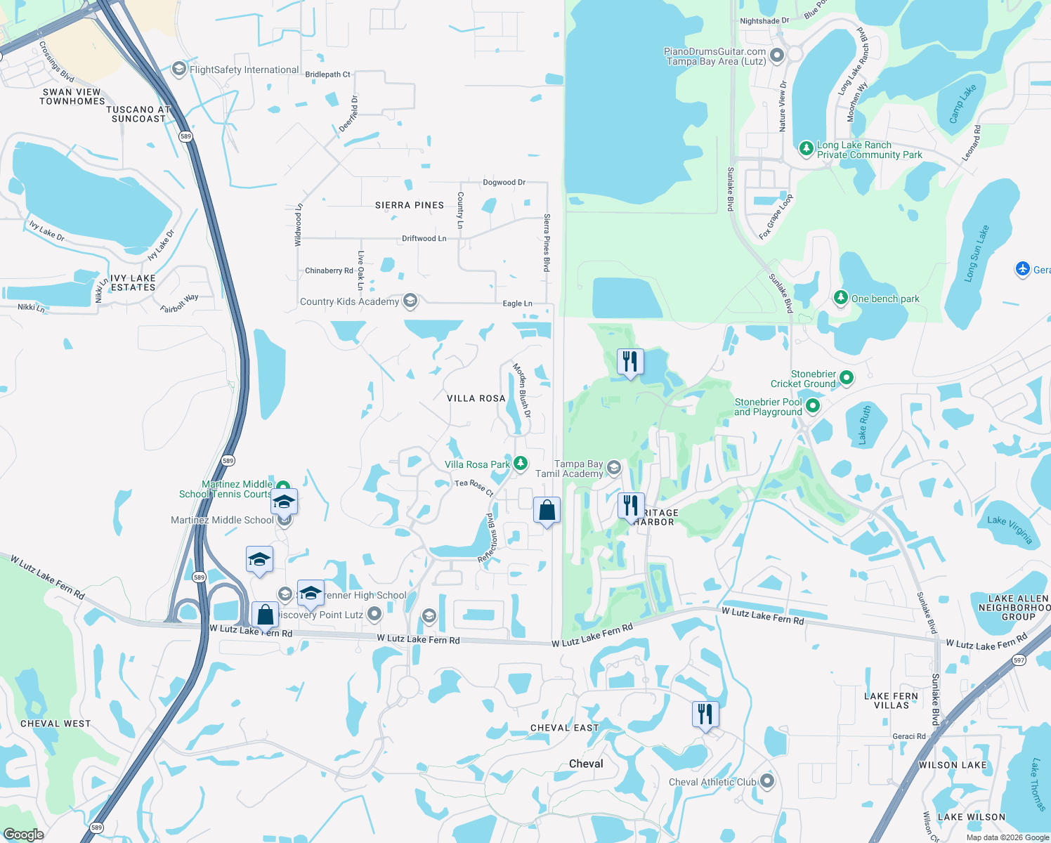 map of restaurants, bars, coffee shops, grocery stores, and more near 19519 Morden Blush Drive in Lutz