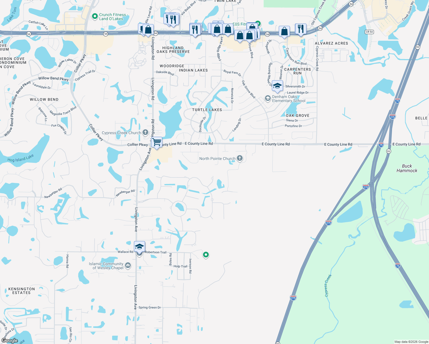 map of restaurants, bars, coffee shops, grocery stores, and more near 19713 Wild Water Cove in Lutz