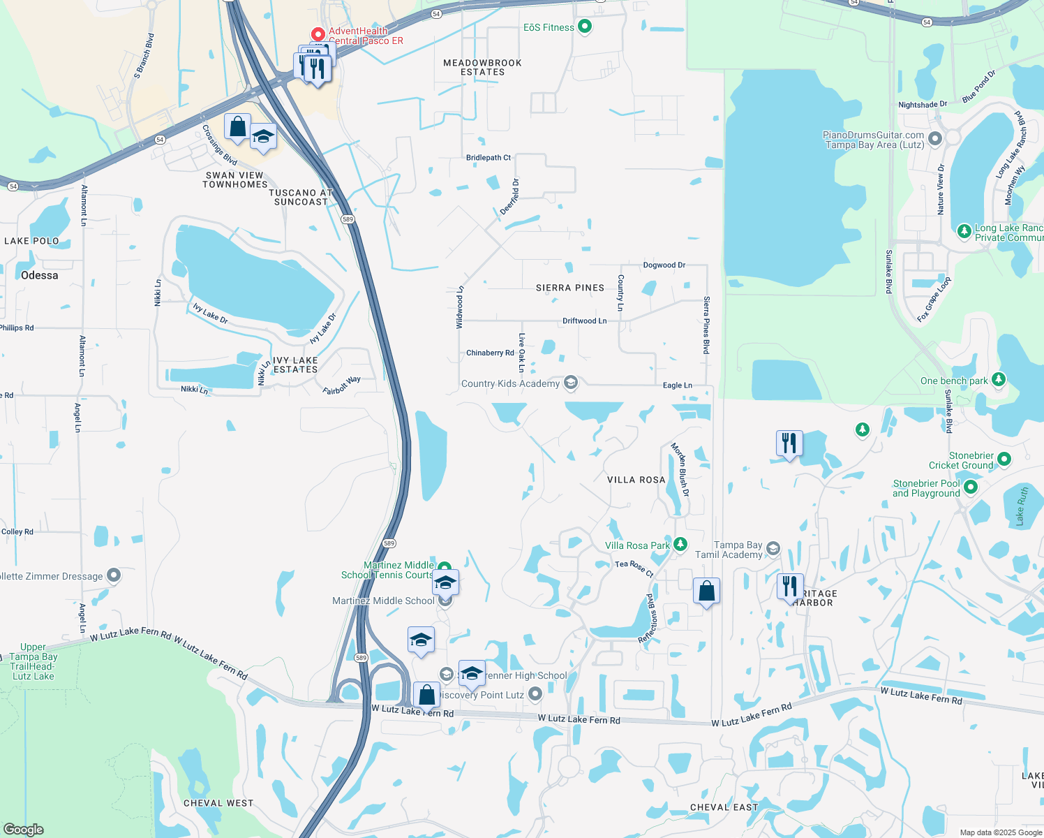 map of restaurants, bars, coffee shops, grocery stores, and more near 5413 Garden Arbor Dr in Lutz