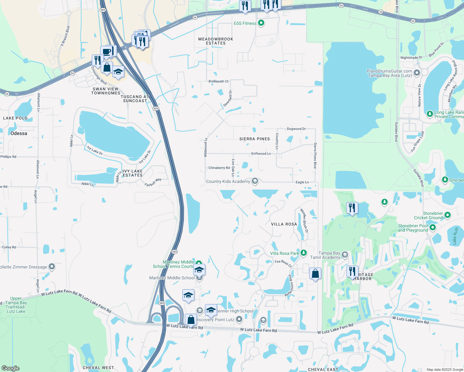 map of restaurants, bars, coffee shops, grocery stores, and more near 17400 Eagle Lane in Lutz