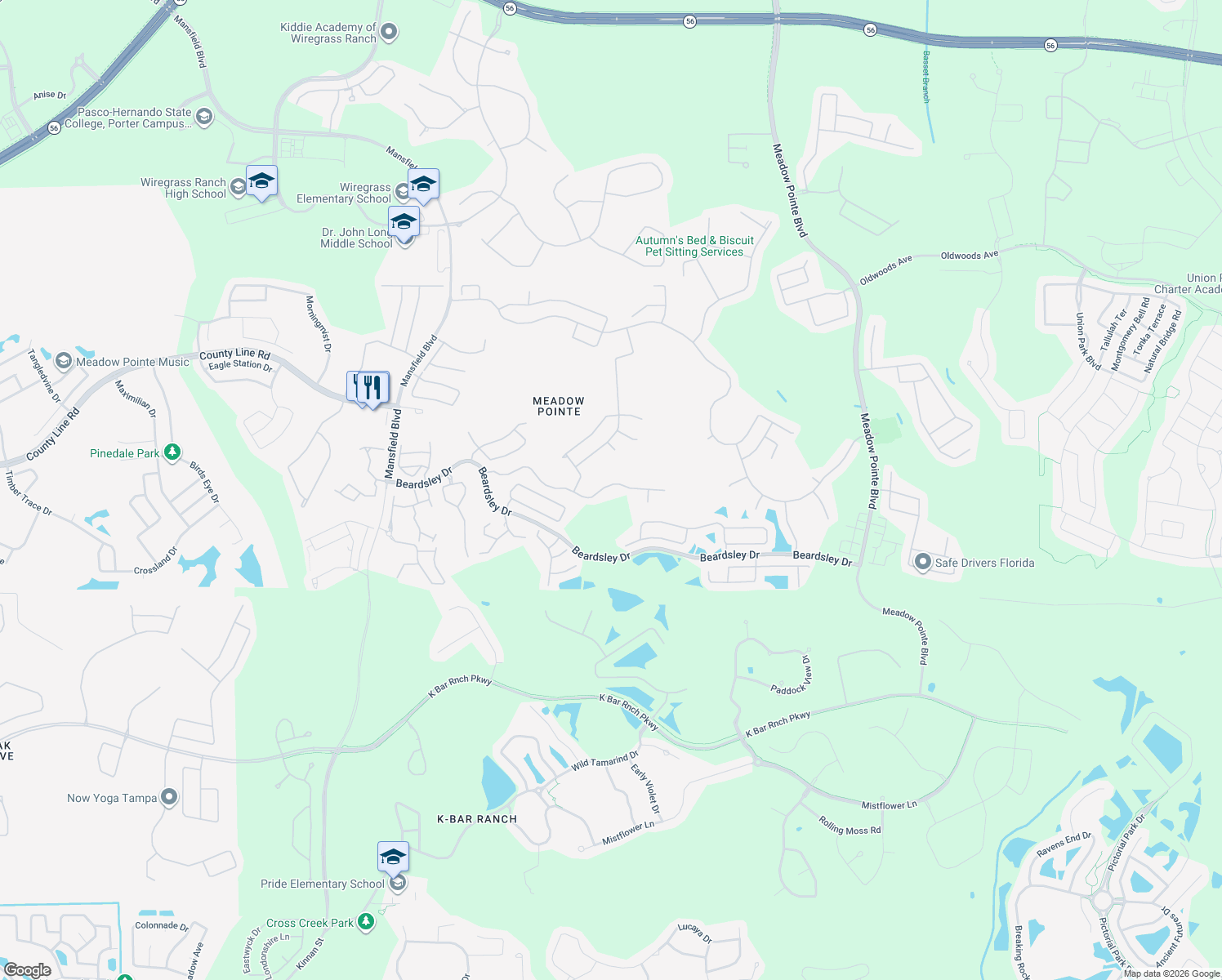 map of restaurants, bars, coffee shops, grocery stores, and more near 30750 Iverson Drive in Wesley Chapel