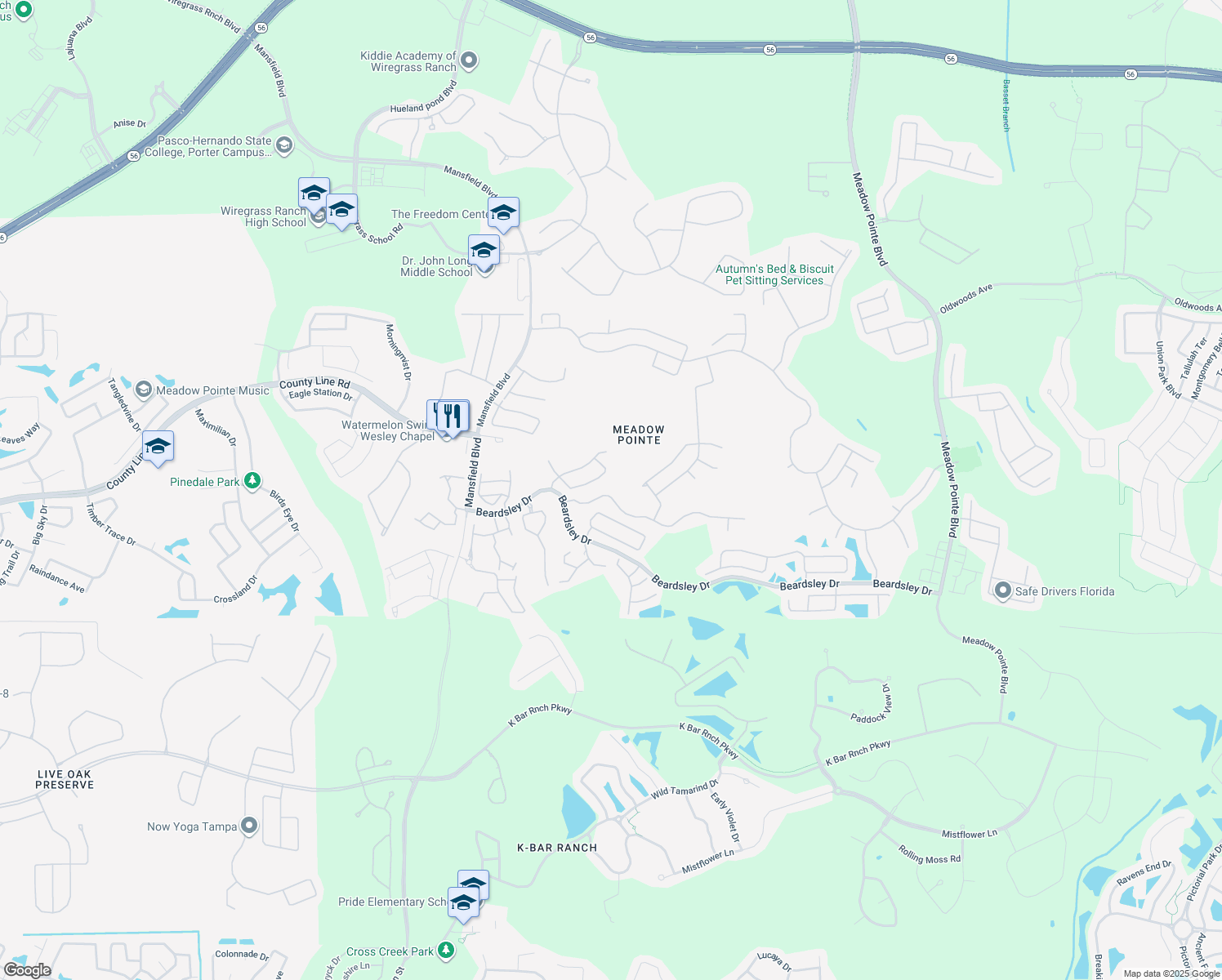 map of restaurants, bars, coffee shops, grocery stores, and more near 30521 Iverson Drive in Wesley Chapel
