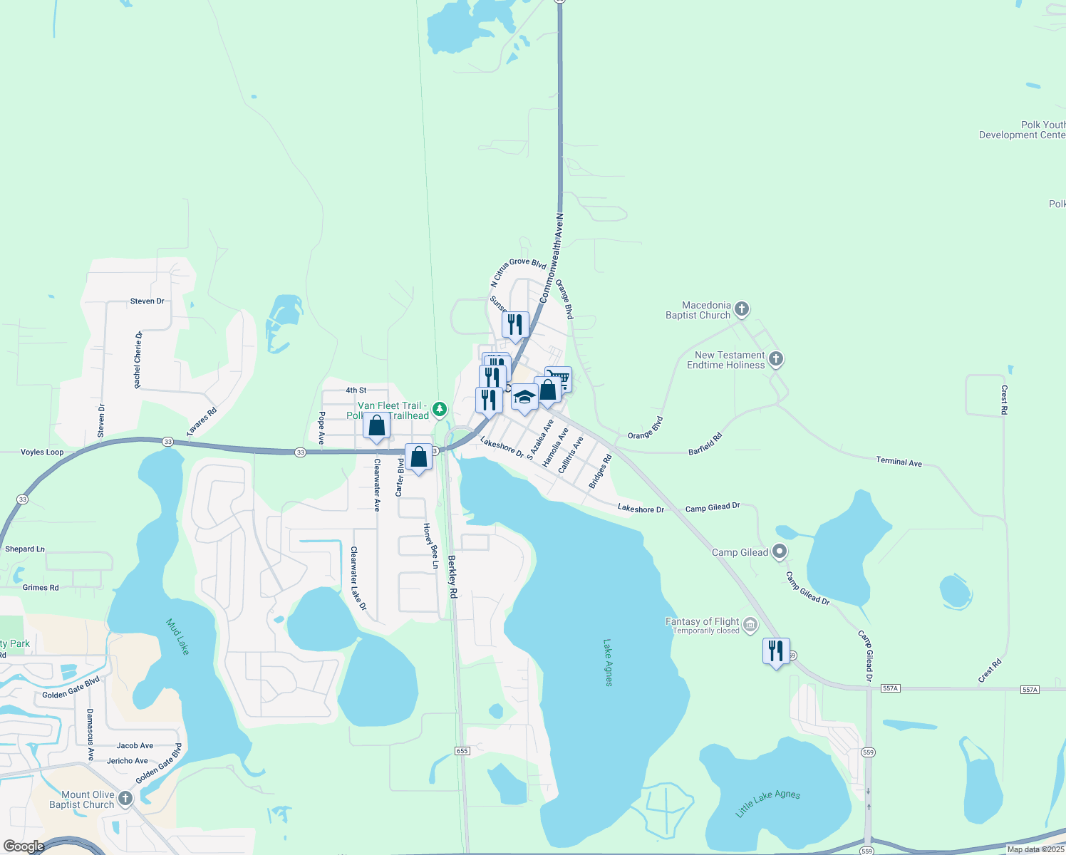 map of restaurants, bars, coffee shops, grocery stores, and more near 131 South Hydrangea Avenue in Polk City
