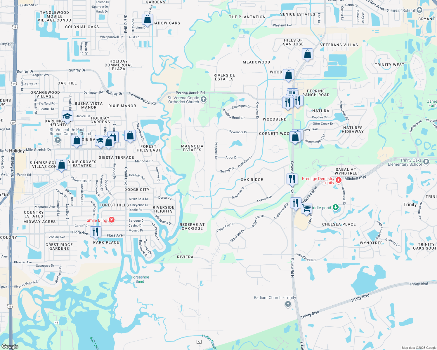 map of restaurants, bars, coffee shops, grocery stores, and more near 6318 Sunhigh Drive in New Port Richey