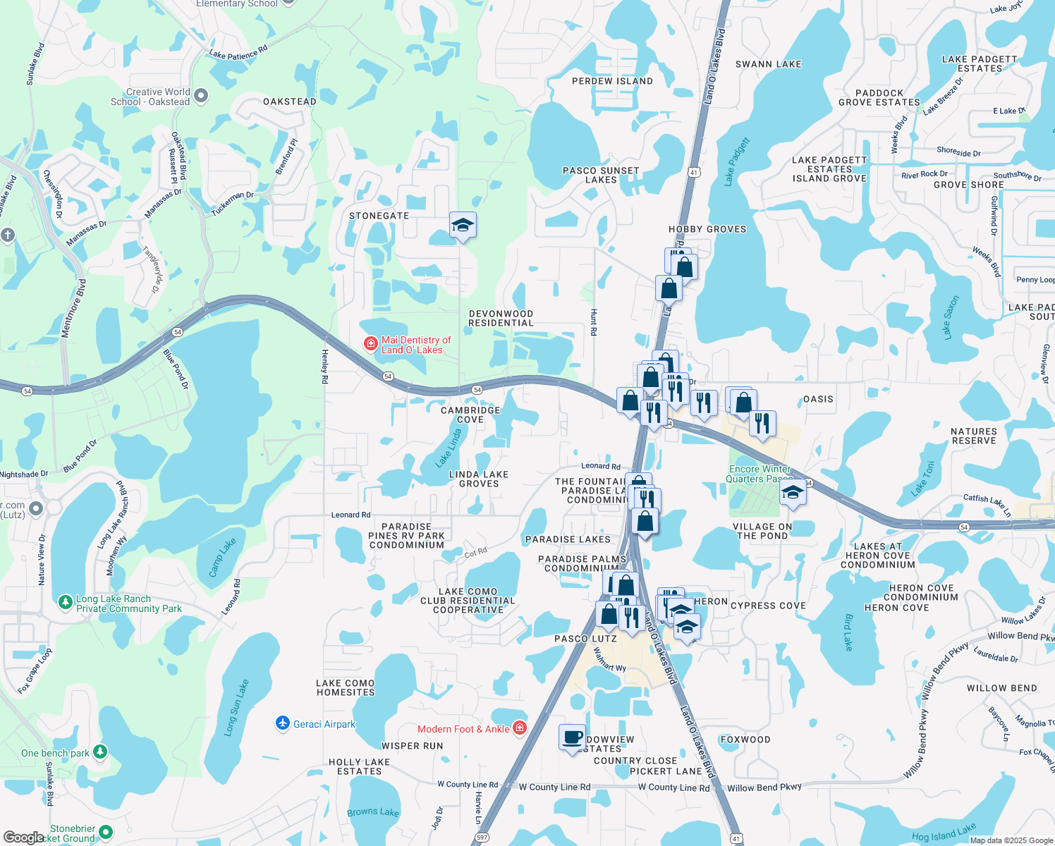 map of restaurants, bars, coffee shops, grocery stores, and more near 2231 Sofia Drive in Lutz